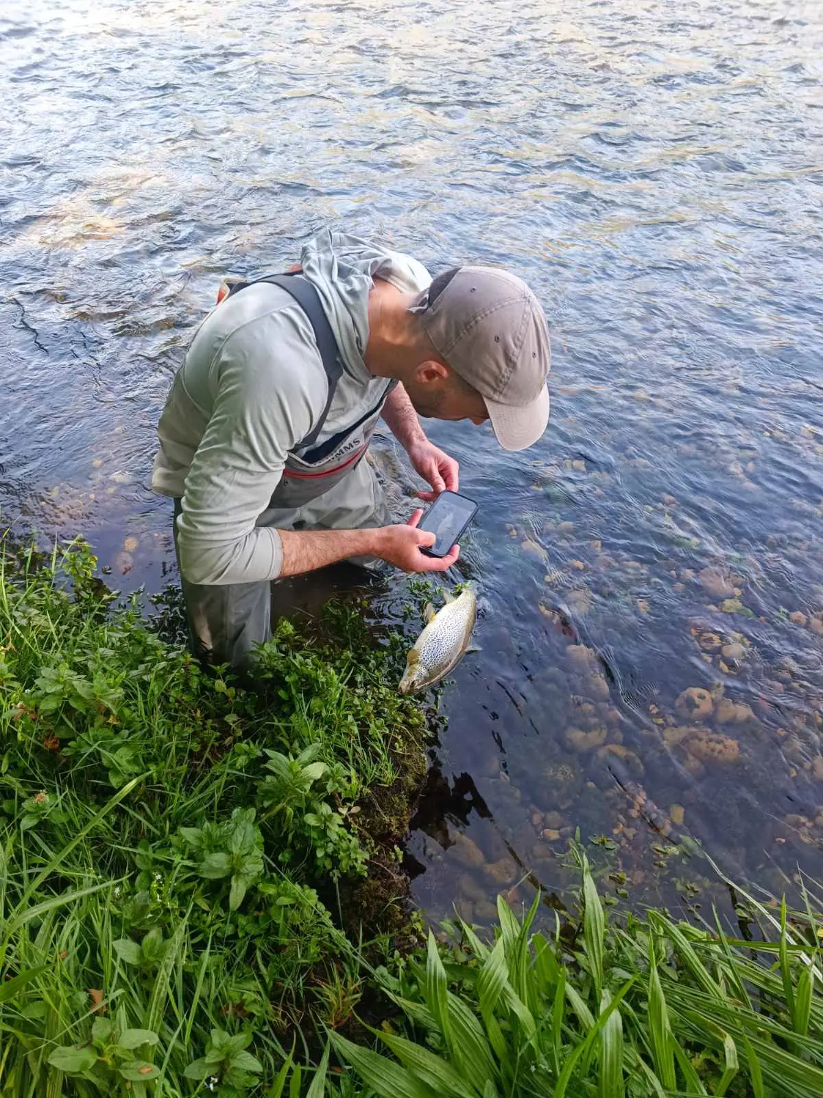 An angler with a trout from a Bosnian river